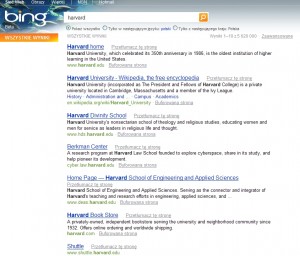 Bing w rzeczywistości Bing w rzeczywistości